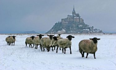 La baie du Mont Saint-Michel pour les fêtes <br>2h00 ⇄ 4 km