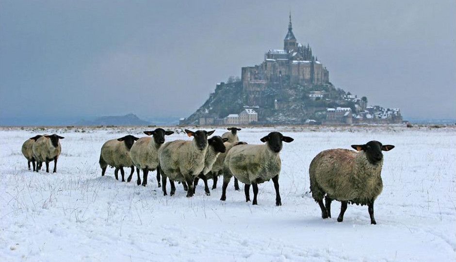 mont saint michel noel