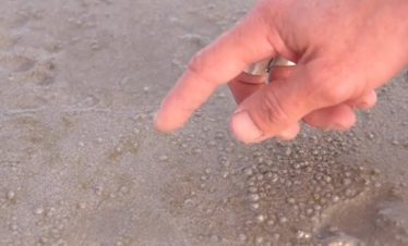 traversée nature Mont-Saint-Michel
