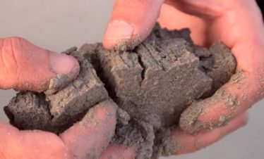 traversée nature Mont-Saint-Michel